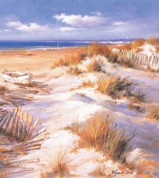 1362 Dunes
